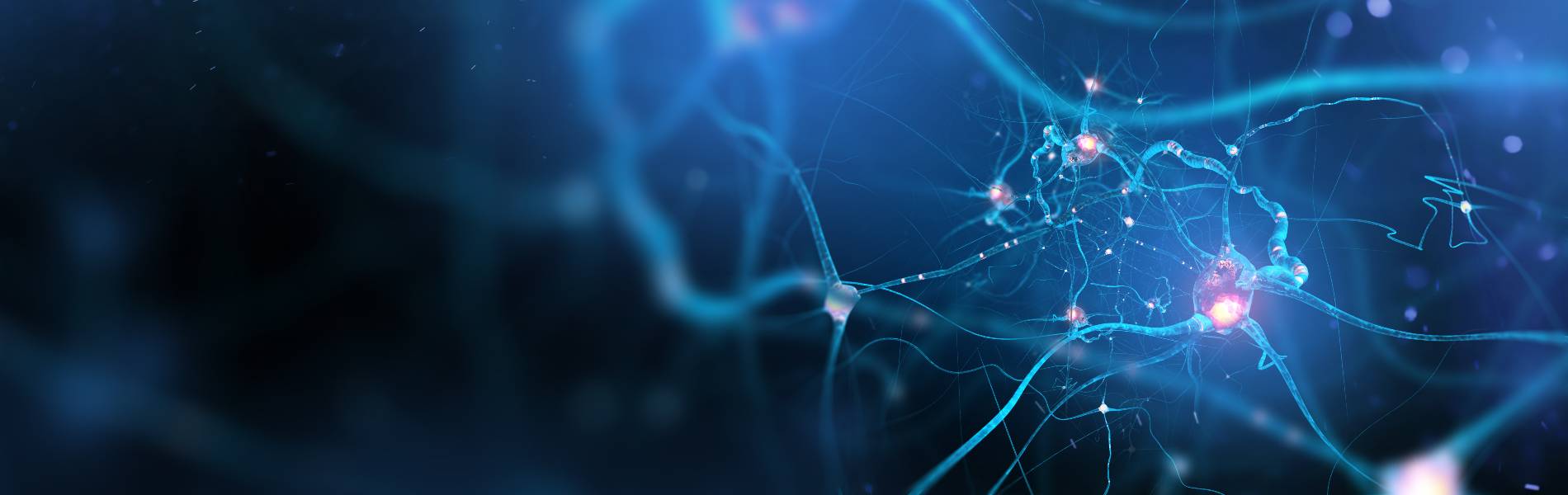 FND Awareness Day shines a light on little known neurological disorder